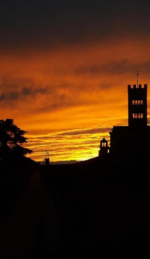 La Terrazza Fra Le Torri Διαμέρισμα Λούκα Εξωτερικό φωτογραφία